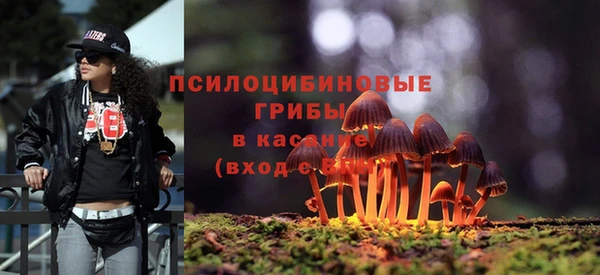 ПСИЛОЦИБИНОВЫЕ ГРИБЫ Навашино